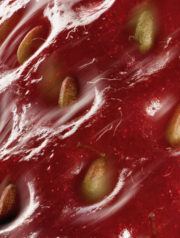 Body Scrub 101: How Often Should You Exfoliate (and How to Do It Right)
